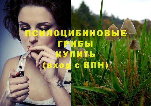 соль курить ск Краснослободск